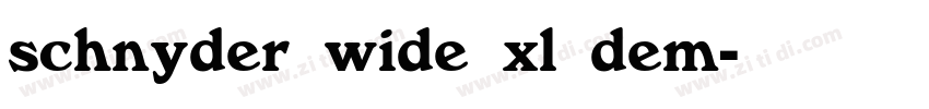 schnyder wide xl dem字体转换